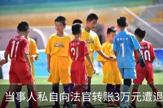 当事人私自向法官转账3万元遭退还，后虚构法官受贿并举报，纪检监察机关：犯诬告陷害罪被追究刑事责任