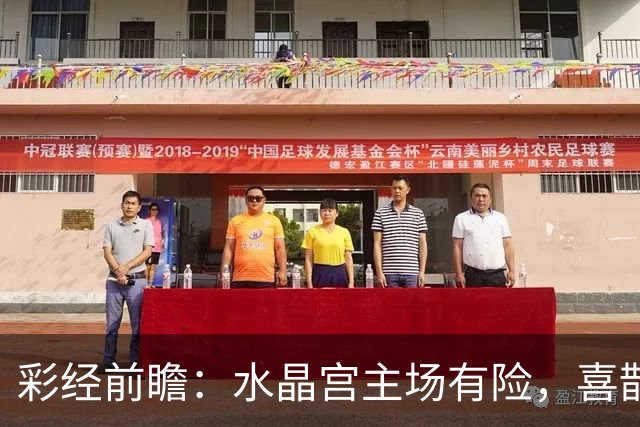 彩经前瞻：水晶宫主场有险，喜鹊展翅看好纽卡斯尔联取胜