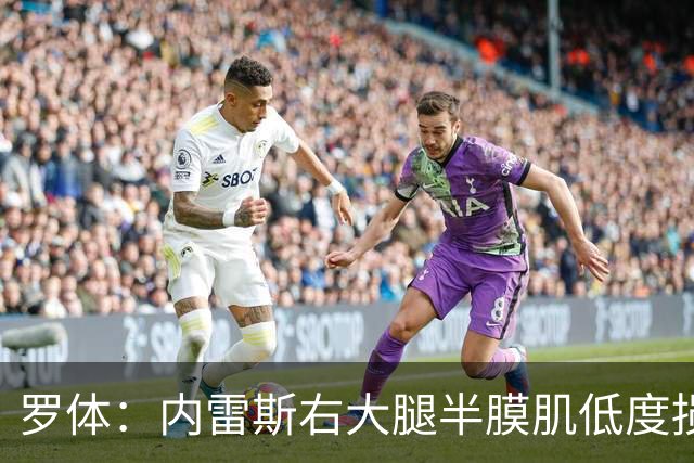 罗体：内雷斯右大腿半膜肌低度损伤，将缺阵3周无缘6场比赛